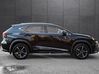 Lexus NX Series foto 5