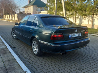 BMW 5 Series foto 4