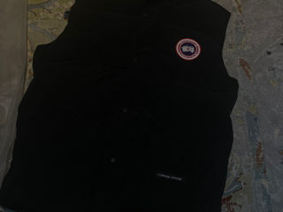 Vesta Canada Goose