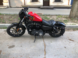 Harley - Davidson XL883N foto 6