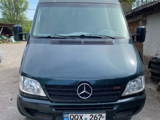 Mercedes Sprinter 313 foto 3