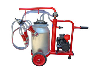Aparat De Muls Vaci Maksan (1 Post/1 Bidon 40L.) - n2 - livrare / credit / agroteh foto 0
