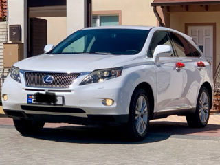 Lexus RX Series