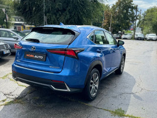 Lexus NX Series foto 3