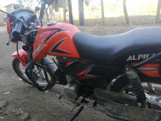 Alpha Moto foto 2