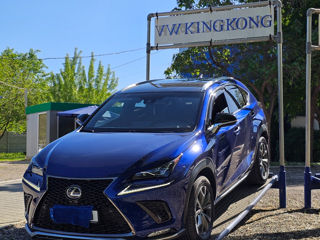 Lexus NX Series