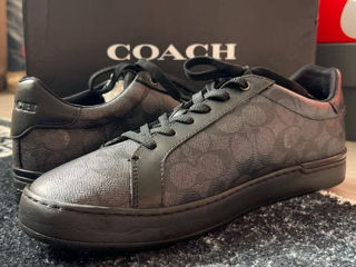 Кеды Coach