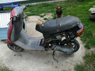 Piaggio 50 foto 6