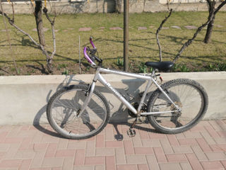 Vind bicicleta foto 6