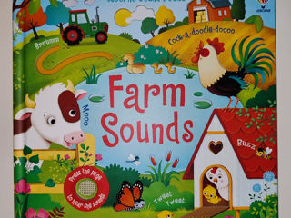 Книга Usborne sound books