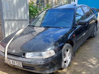 Honda Accord, Rover 600 foto 1