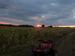 Boss ATV Peda X super 150cc foto 1