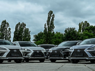 Lexus NX Series foto 2