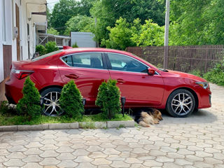 Acura ILX foto 6