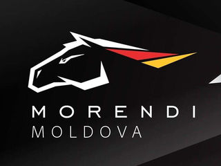 Chiptuning Moldova. Чип-Тюнинг в Молдове от Morendi - Увеличение мощности двигателя. foto 20