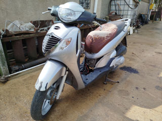 Honda SH150i foto 4