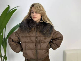 (225)pinkshop  md-magazin online,blăniță moale, scurta, женская куртка, geaca de iarna pentru femei foto 2