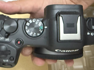 Canon R8 foto 6