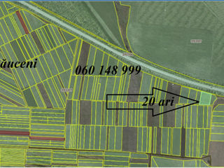 Teren de Vânzare, Stăuceni 20 ari. Prima linie la traseu M14 foto 3