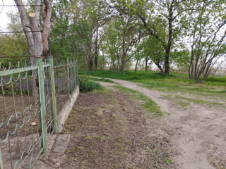 Дача для отдыха возле Днестровского лимана... foto 10