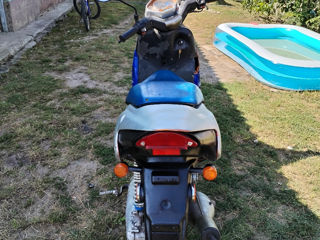 Aprilia EX80 foto 4