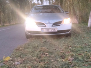 Nissan Primera foto 6