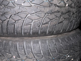 215/65/16 Nexen nokian foto 3