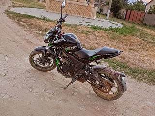 Honda Rato thunder