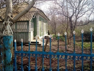 Продается старинный дом (сарай, погреб, колодец, участок 20 соток) в Единецком районе. foto 5