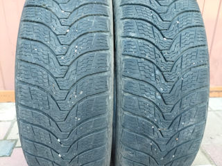 205/60r16 premiorri