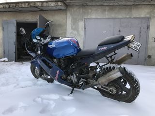 Triumph Daytona доки MD foto 3