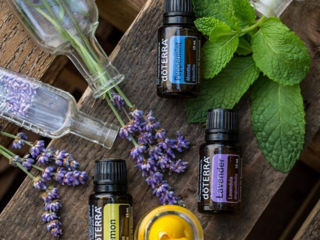 Эфирные масла doTERRA диффузор doTERRA