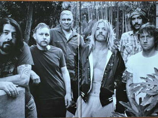 Foo Fighters - The Essential Vinyl foto 3