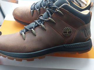 Timberland  Italy foto 5