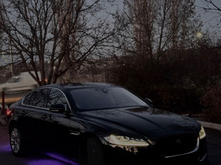 Jaguar XF фото 6