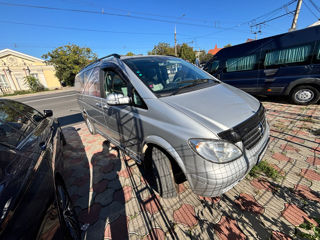 Mercedes Viano foto 2