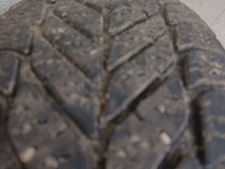 185/65R15 Debica Frigo foto 3