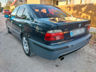 BMW 5 Series foto 2