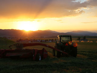 Căutăm tractorist foto 2