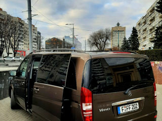 Mercedes Viano