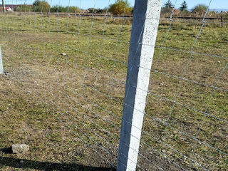 Gard din plasă innodată zincată.сетка шарнирная foto 8