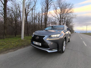 Lexus NX Series