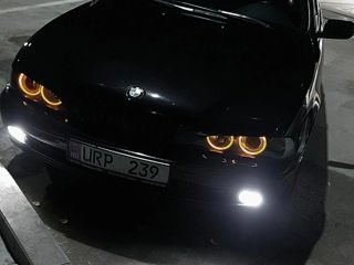 BMW 5 Series foto 4