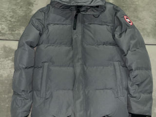 Scurta Canada Goose