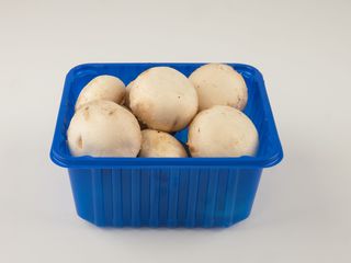 Caserole plastic pentru ciuperci, fructe, pomusoare. Producator autohton. foto 4