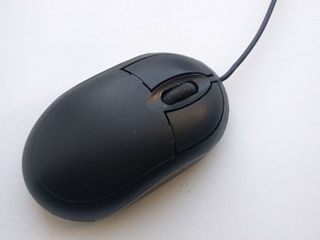 Mouse foto 2