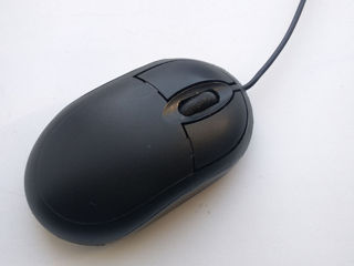 Mouse