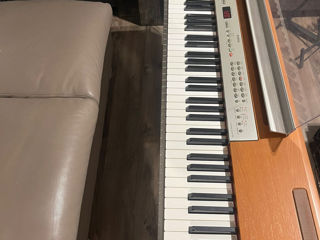 Клавиша Пиано Yamaha P120 foto 4