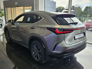 Lexus NX Series foto 3