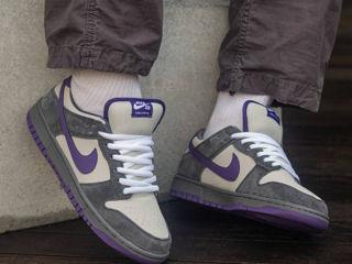 Nike Sb Dunk Low Purple Pigeon Unisex foto 9